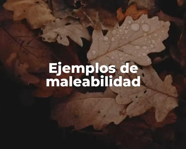 Ejemplos de maleabilidad