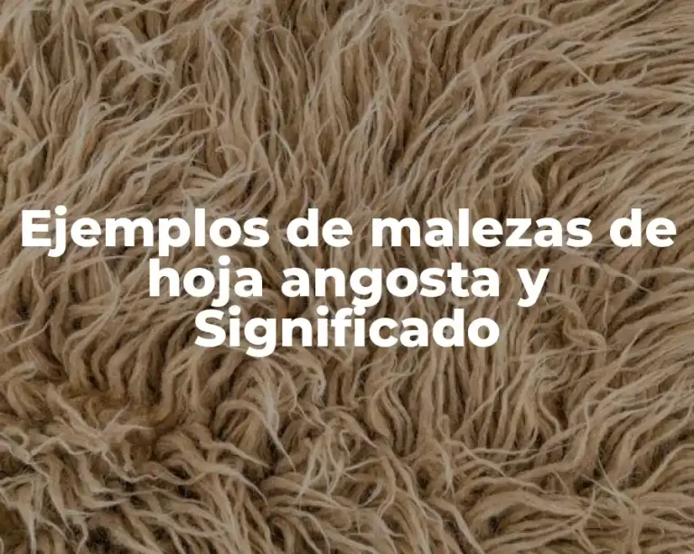 Ejemplos de malezas de hoja angosta y Significado