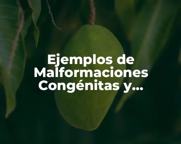 Ejemplos de Malformaciones Congénitas y Significado