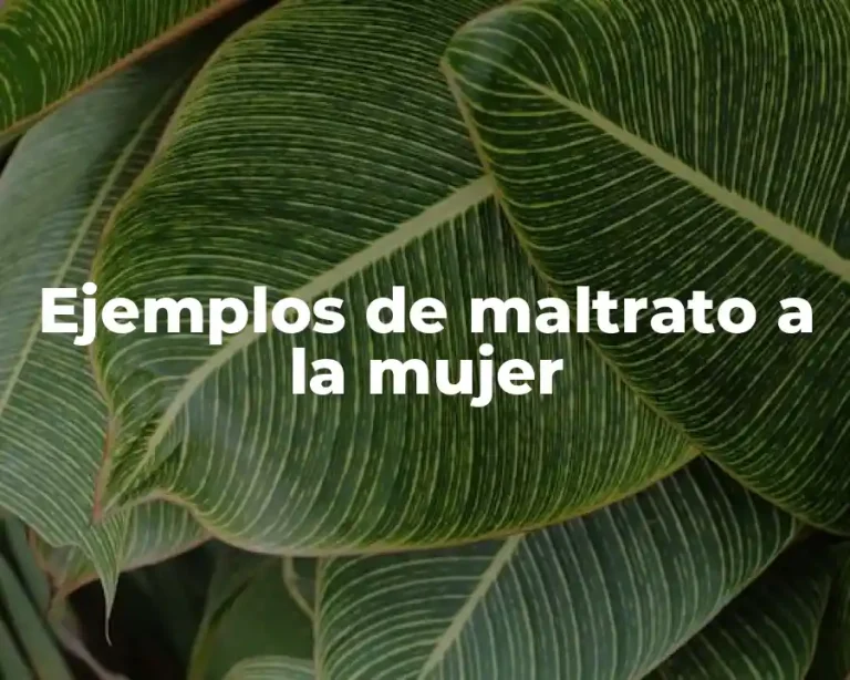 Ejemplos de maltrato a la mujer