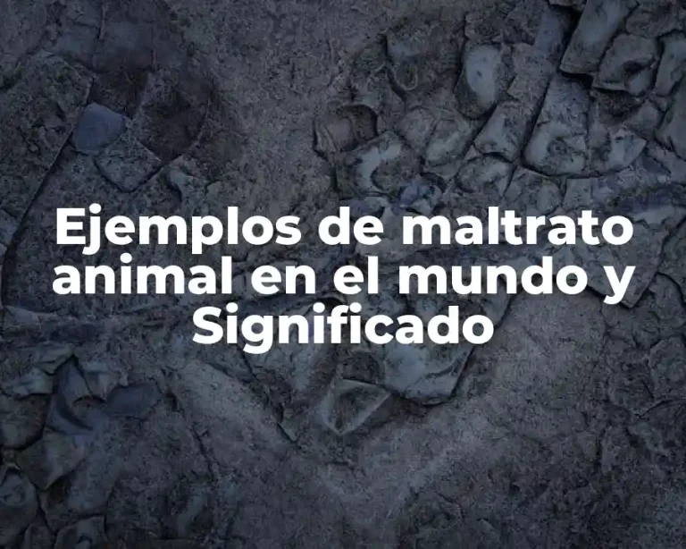 Ejemplos de maltrato animal en el mundo y Significado