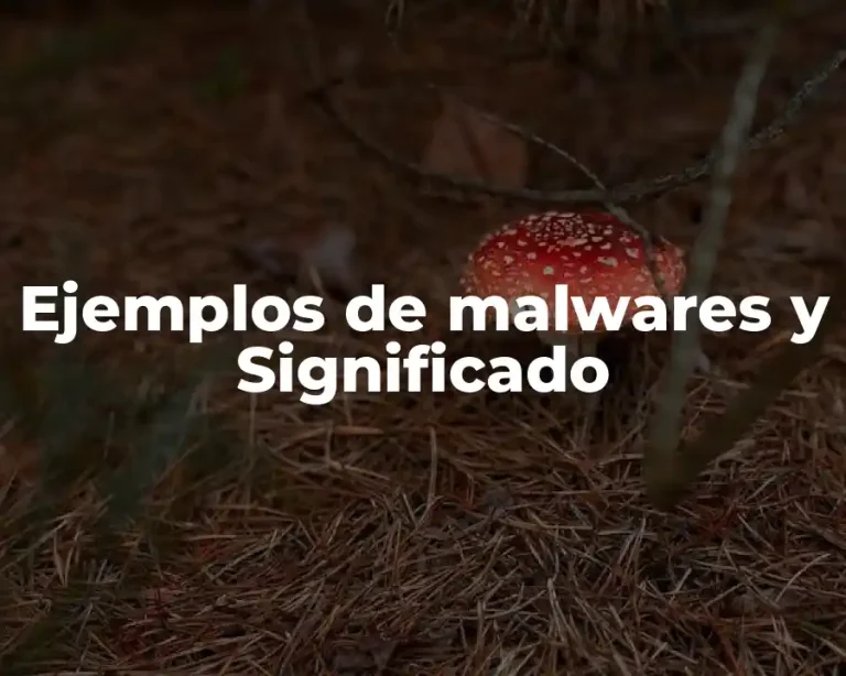 Ejemplos de malwares y Significado