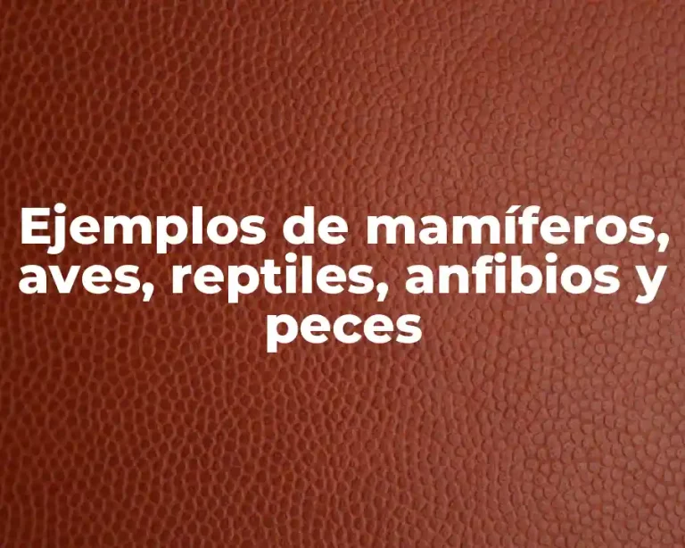 Ejemplos de mamíferos, aves, reptiles, anfibios y peces