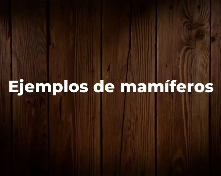 Ejemplos de mamíferos