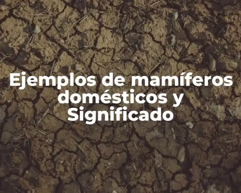 Ejemplos de mamíferos domésticos y Significado