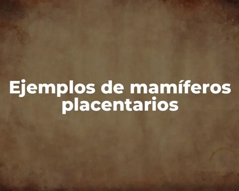 Ejemplos de mamíferos placentarios