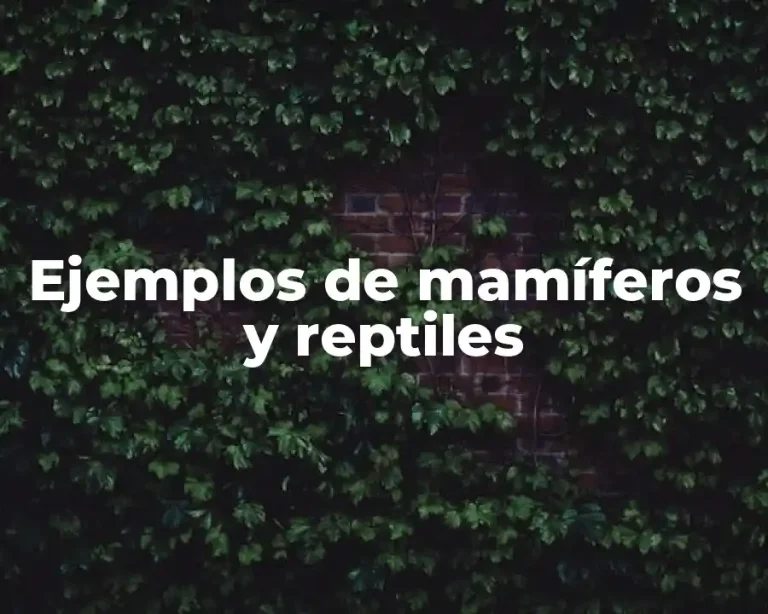 Ejemplos de mamíferos y reptiles