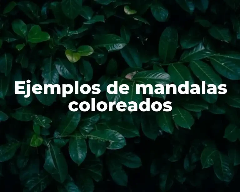 Ejemplos de mandalas coloreados