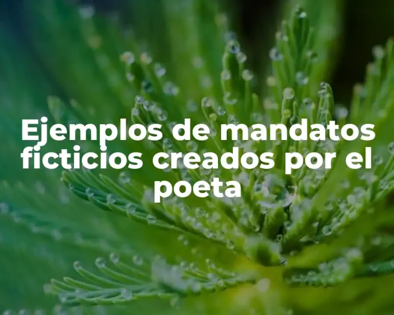 Ejemplos de mandatos ficticios creados por el poeta