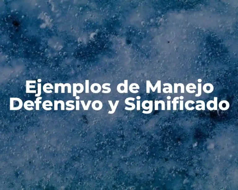 Ejemplos de Manejo Defensivo y Significado