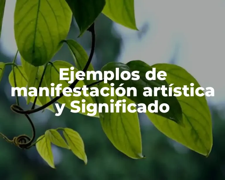 Ejemplos de manifestación artística y Significado