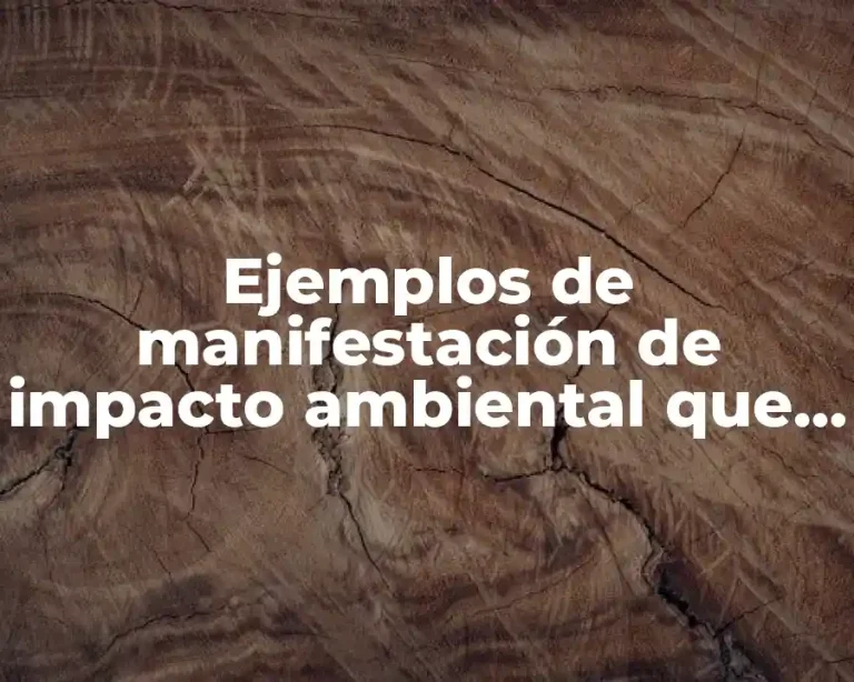 Ejemplos de manifestación de impacto ambiental que no se entienda
