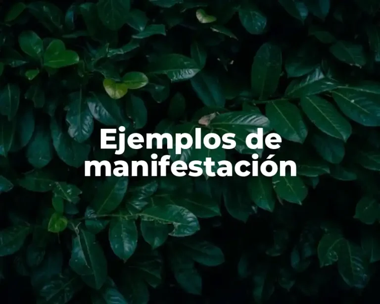 Ejemplos de manifestación