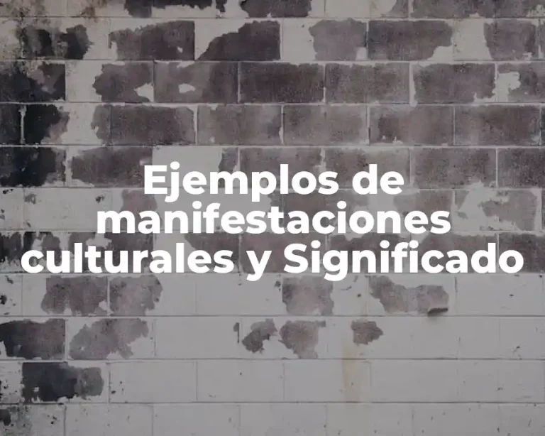 Ejemplos de manifestaciones culturales y Significado