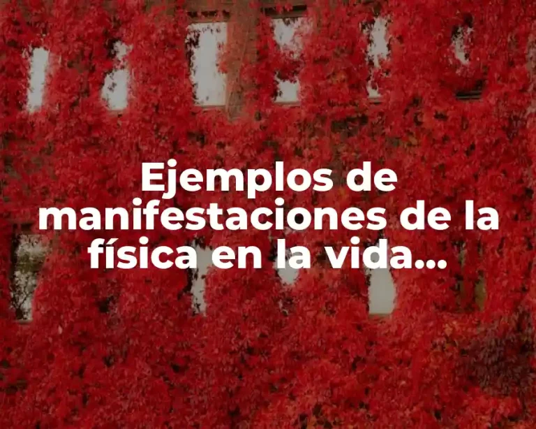 Ejemplos de manifestaciones de la física en la vida cotidiana y Significado