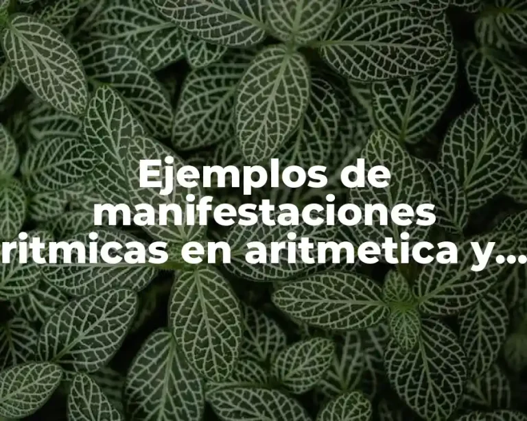 Ejemplos de manifestaciones ritmicas en aritmetica y en matematicas