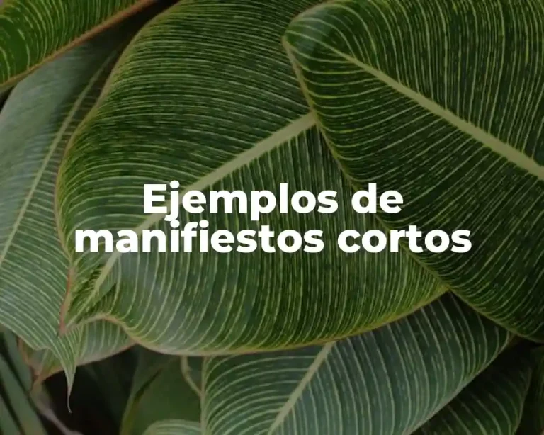 Ejemplos de manifiestos cortos