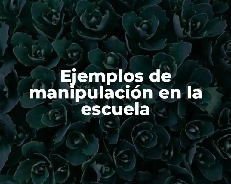 Ejemplos de manipulación en la escuela