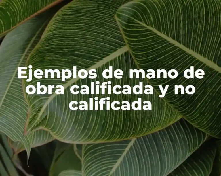 Ejemplos de mano de obra calificada y no calificada