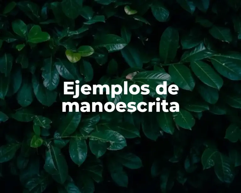 Ejemplos de manoescrita