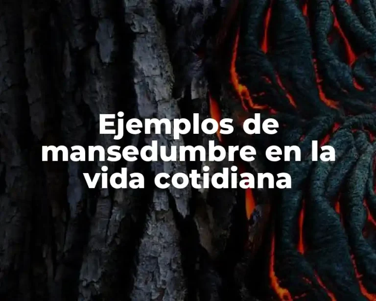 Ejemplos de mansedumbre en la vida cotidiana