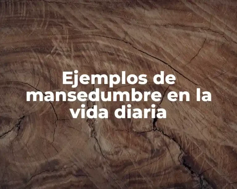 Ejemplos de mansedumbre en la vida diaria