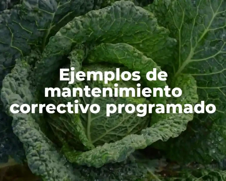 Ejemplos de mantenimiento correctivo programado
