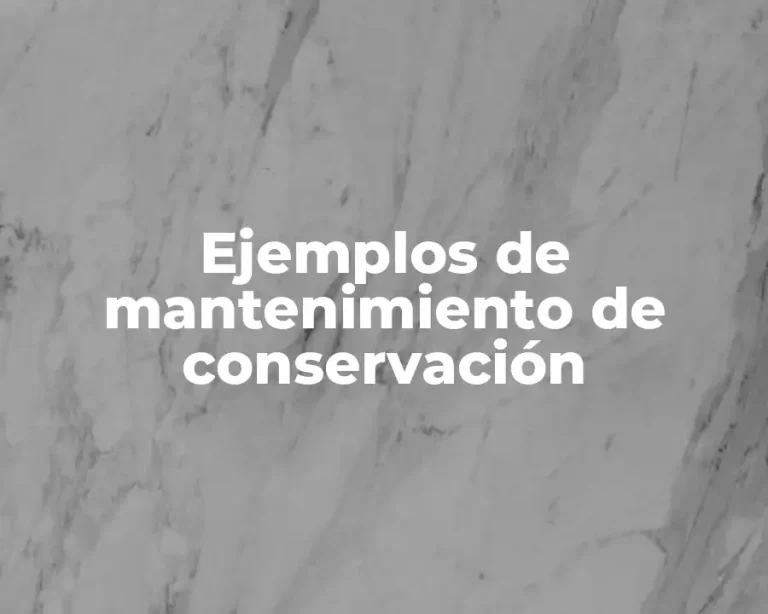 Ejemplos de mantenimiento de conservación