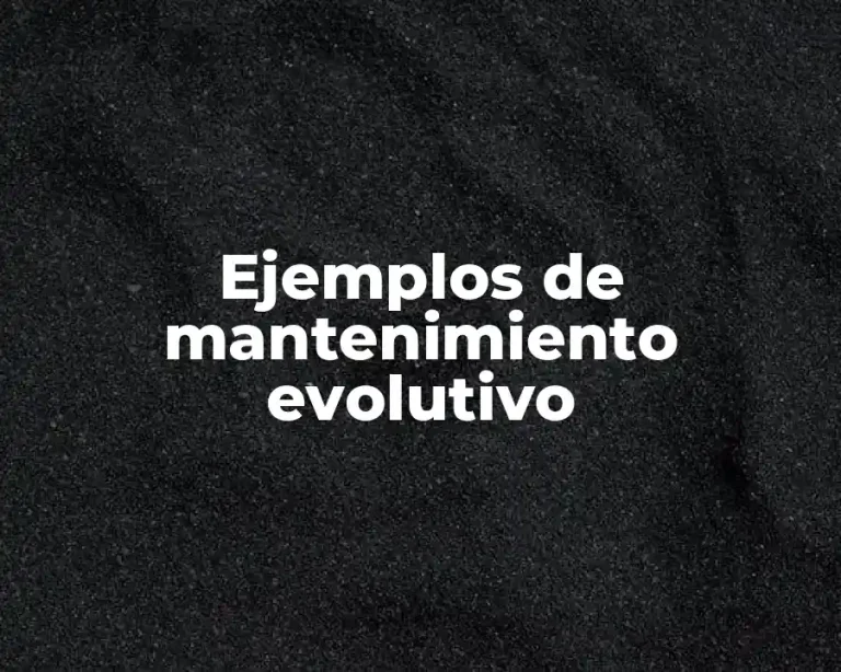 Ejemplos de mantenimiento evolutivo