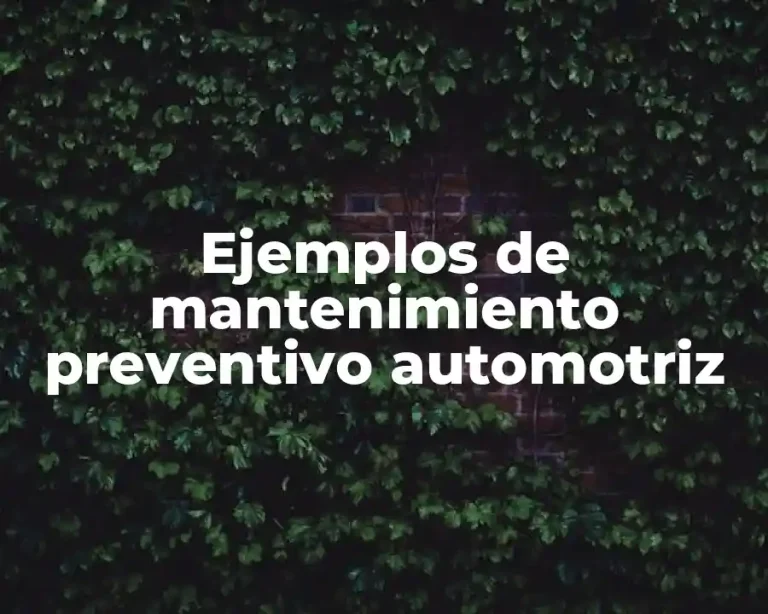 Ejemplos de mantenimiento preventivo automotriz