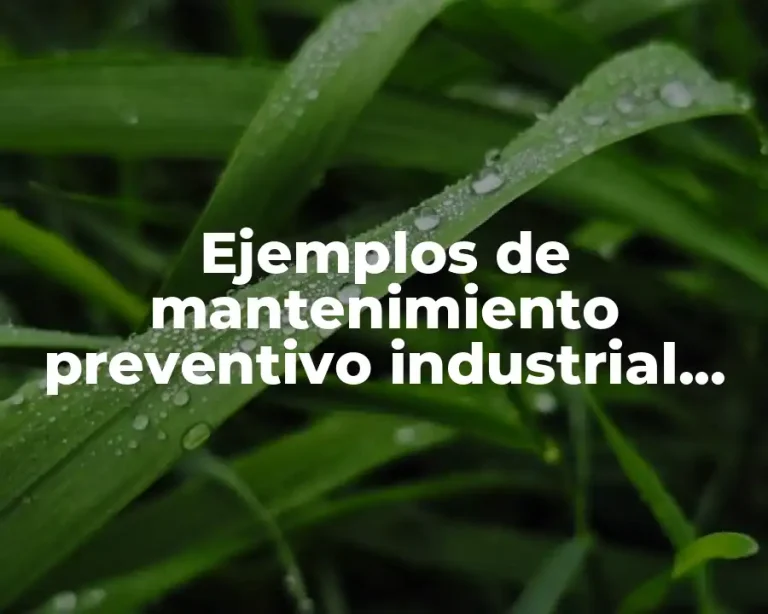 Ejemplos de mantenimiento preventivo industrial con medidas de seguridad