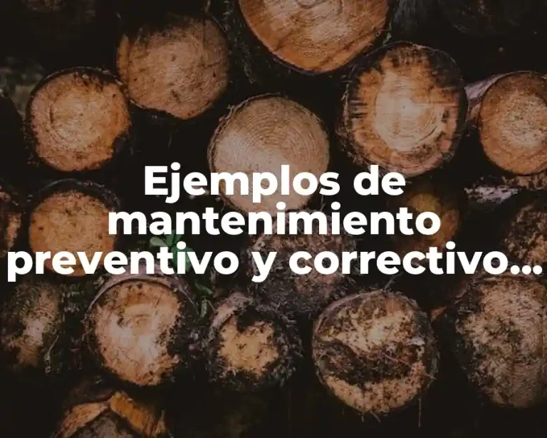 Ejemplos de mantenimiento preventivo y correctivo de una computadora