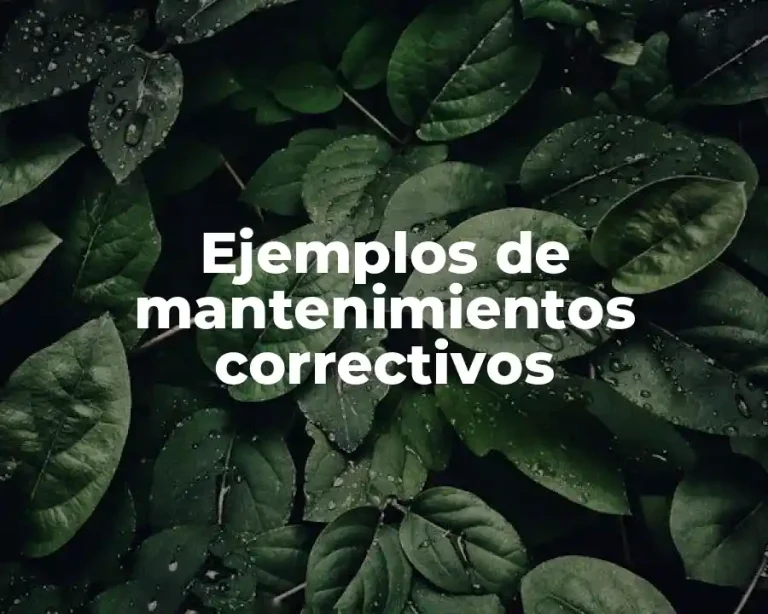 Ejemplos de mantenimientos correctivos