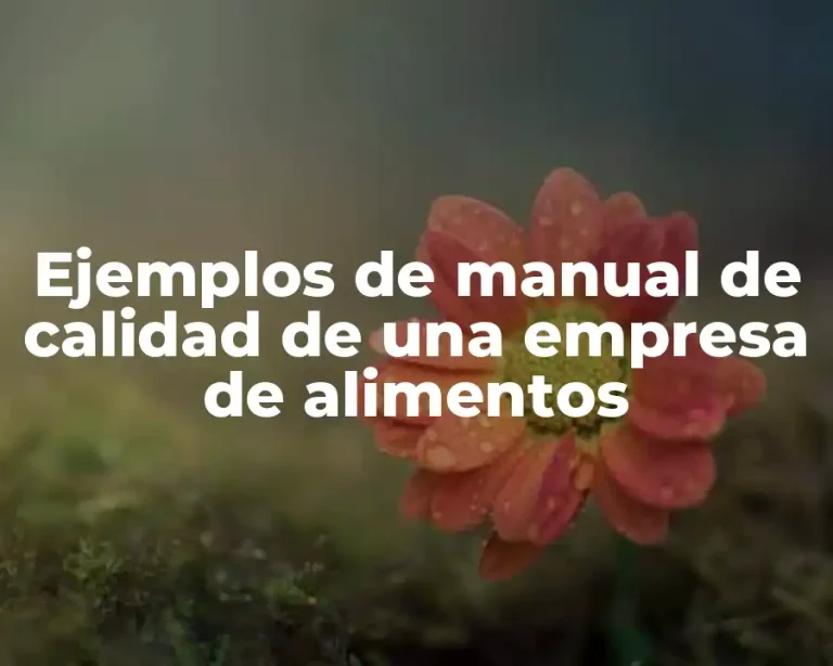Ejemplos de manual de calidad de una empresa de alimentos