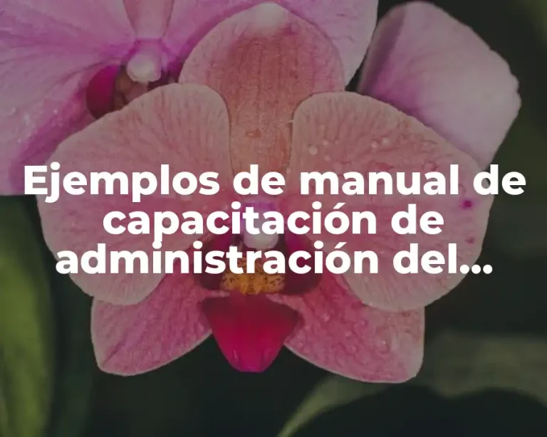 Ejemplos de manual de capacitación de administración del tiempo