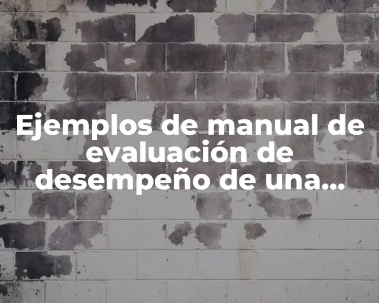 Ejemplos de manual de evaluación de desempeño de una empresa