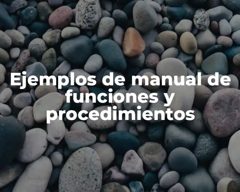 Ejemplos de manual de funciones y procedimientos