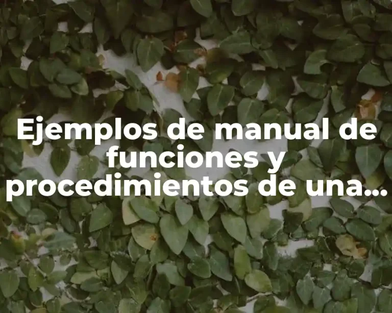 Ejemplos de manual de funciones y procedimientos de una empresa