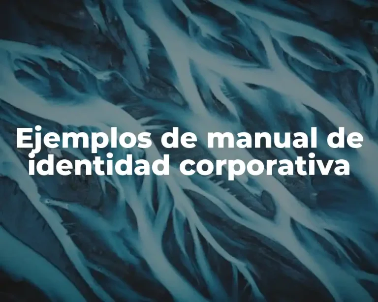 Ejemplos de manual de identidad corporativa