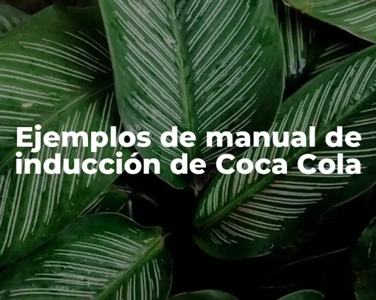 Ejemplos de manual de inducción de Coca Cola