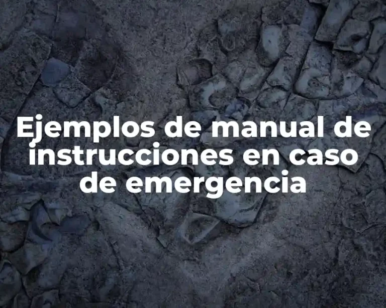 Ejemplos de manual de instrucciones en caso de emergencia