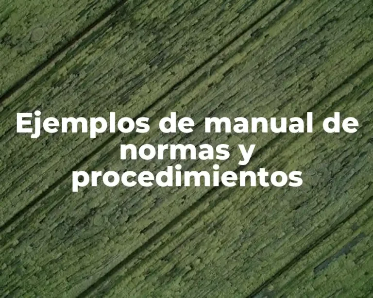 Ejemplos de manual de normas y procedimientos