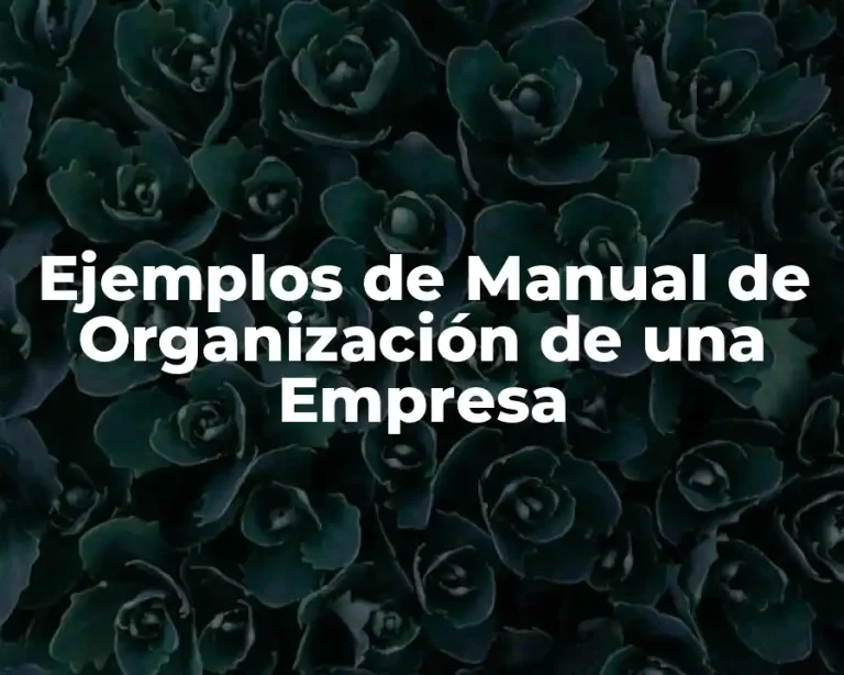 Ejemplos de Manual de Organización de una Empresa
