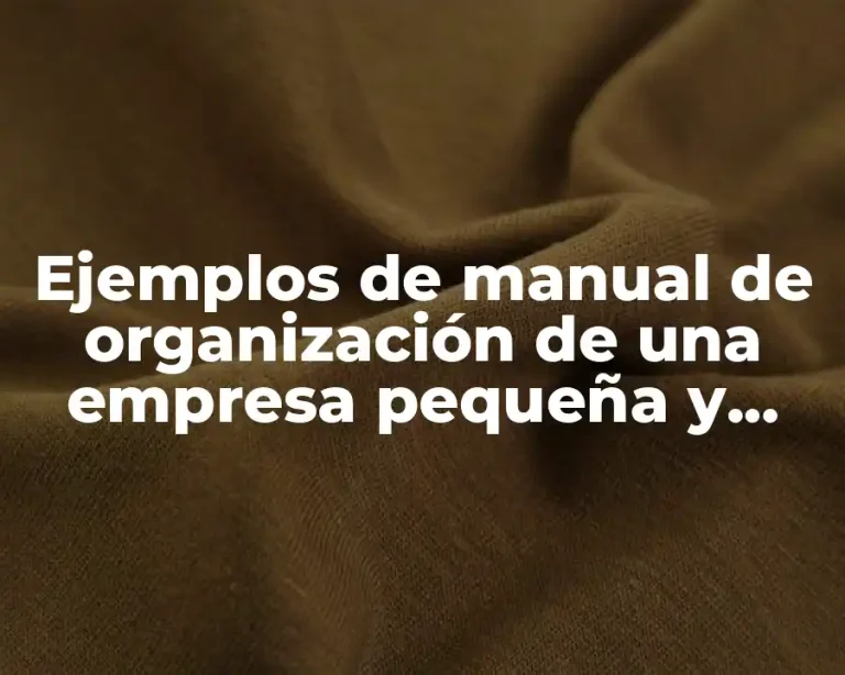 Ejemplos de manual de organización de una empresa pequeña y Significado
