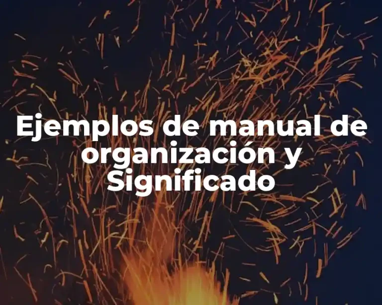 Ejemplos de manual de organización y Significado