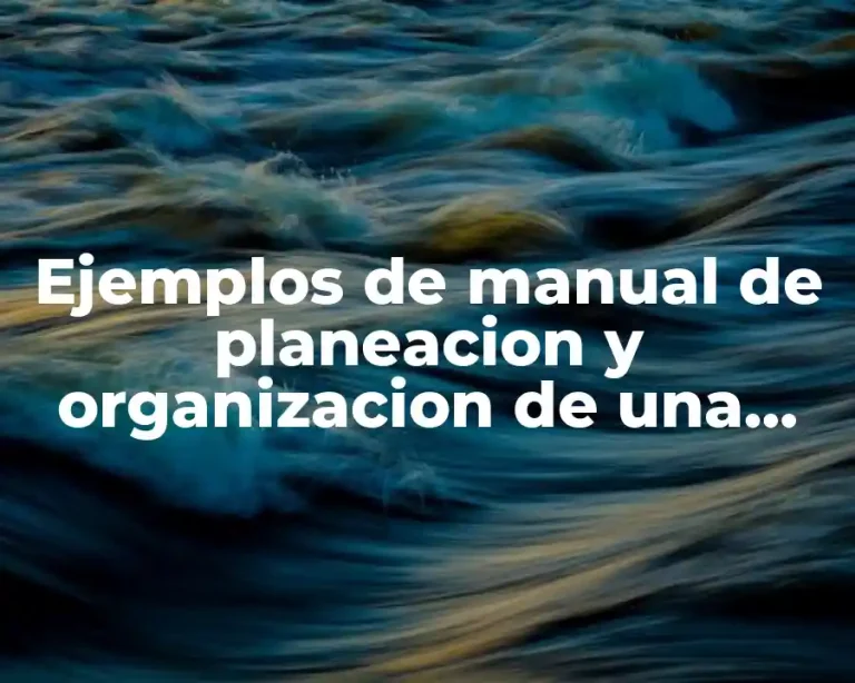 Ejemplos de manual de planeacion y organizacion de una empresa
