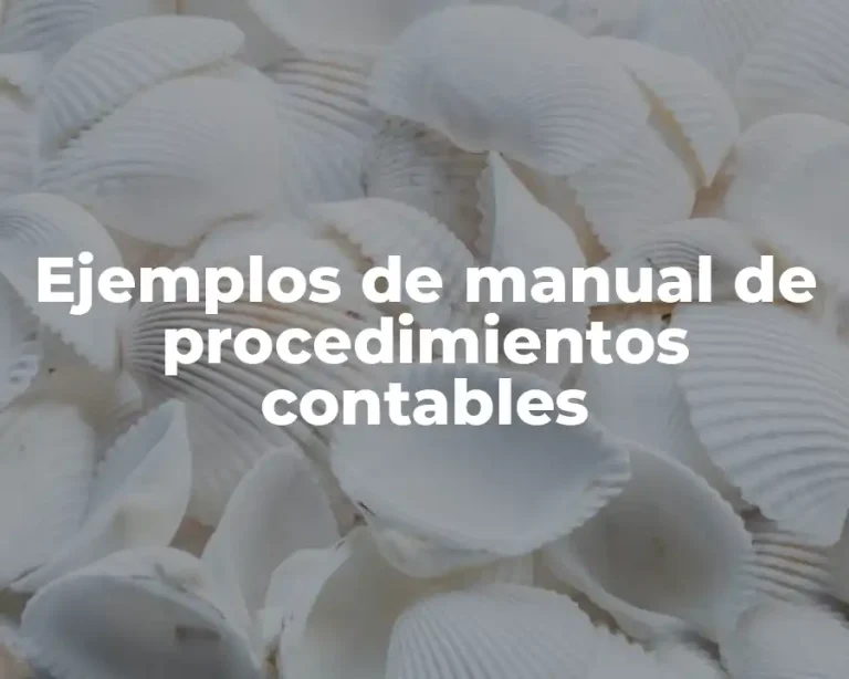 Ejemplos de manual de procedimientos contables