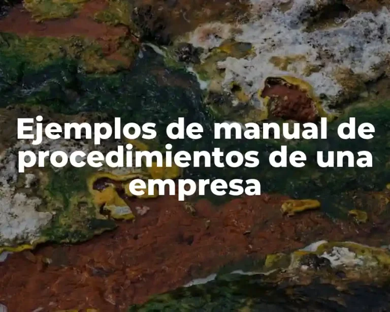 Ejemplos de manual de procedimientos de una empresa