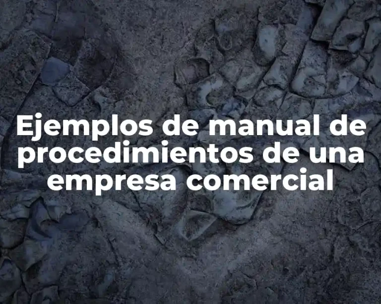 Ejemplos de manual de procedimientos de una empresa comercial