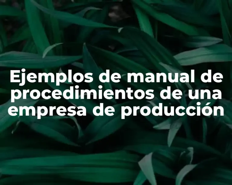 Ejemplos de manual de procedimientos de una empresa de producción